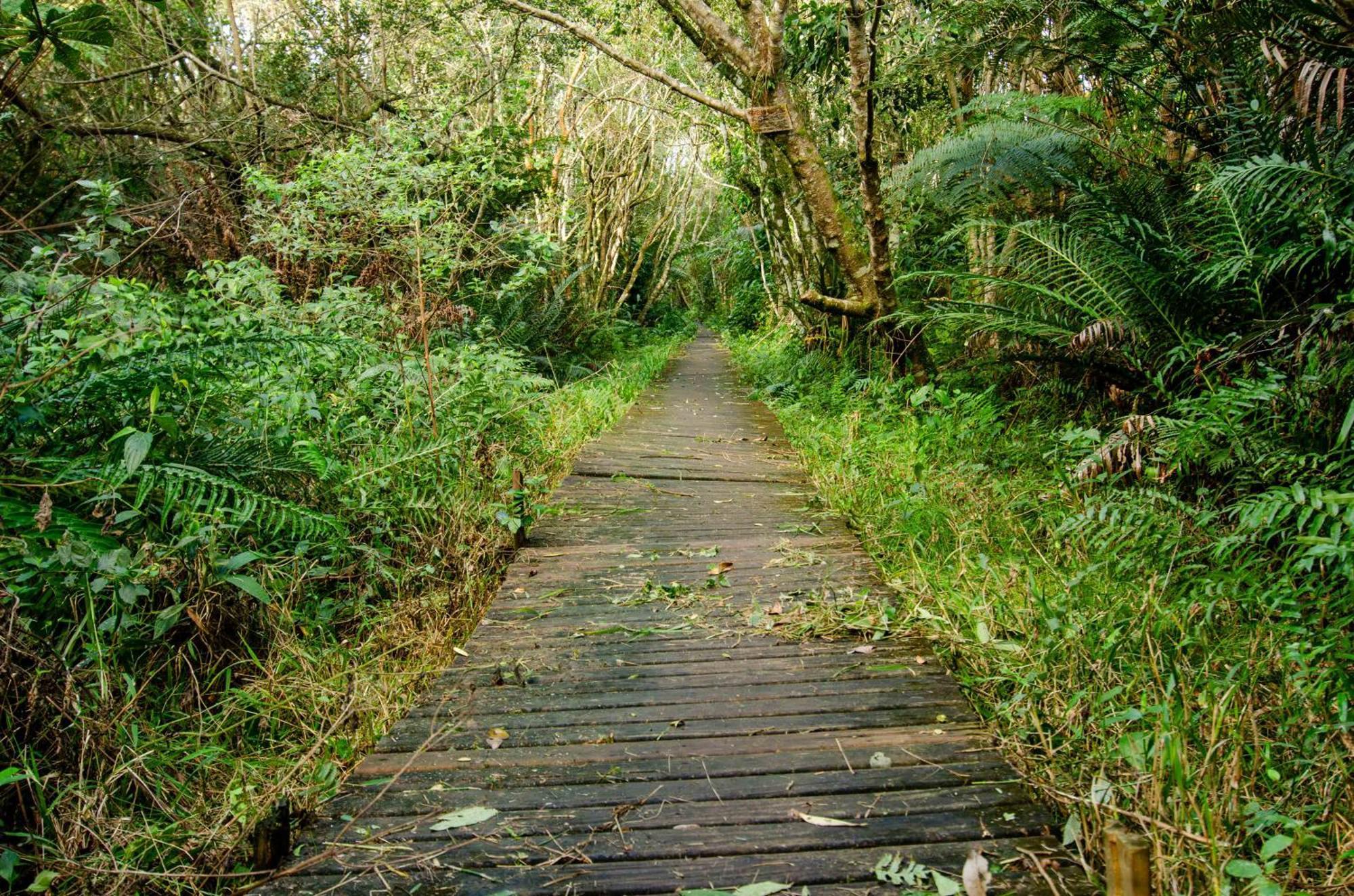 Pousada Do Moca Florianópolis Eksteriør bilde
